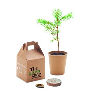 GROWTREE Eco-Friendly Pine Tree Growing Kit for Home Gardens