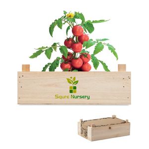 TOMATO Kit tomate em caixa de madeira