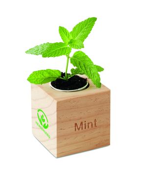 MENTA Wooden Herb Pot with Mint Seeds for Indoor Gardening