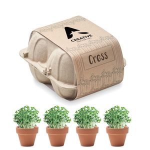 CRESS Kweekset in eierdoos