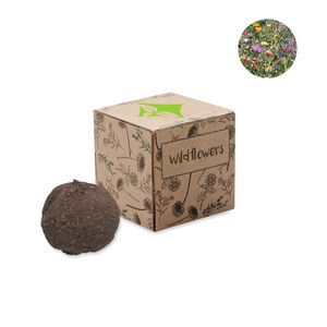 BOMBI Kit cultivo bombas de sementes