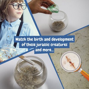 Jogo didático para crianças - Science4You 35828