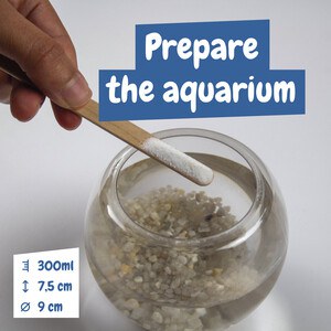 Jogo didático para crianças - Science4You 35828