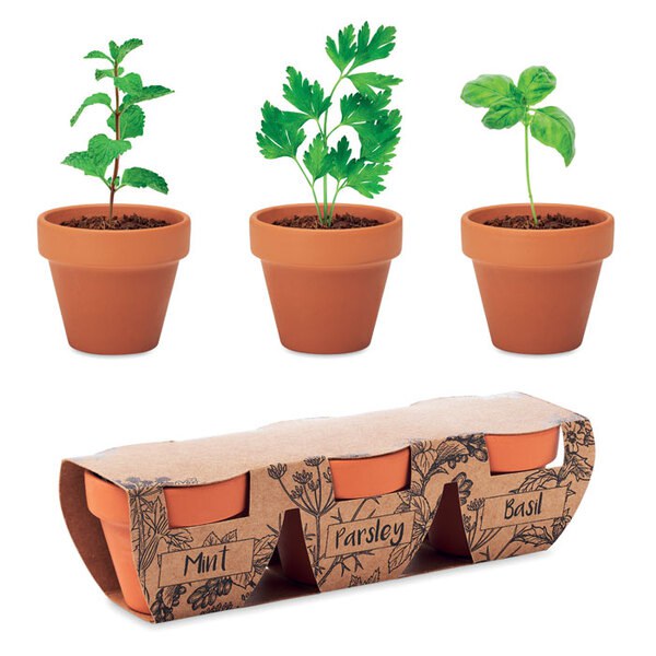 FLOWERPOT Conj. vaso terracota 3 ervas - GiftRetail MO6145