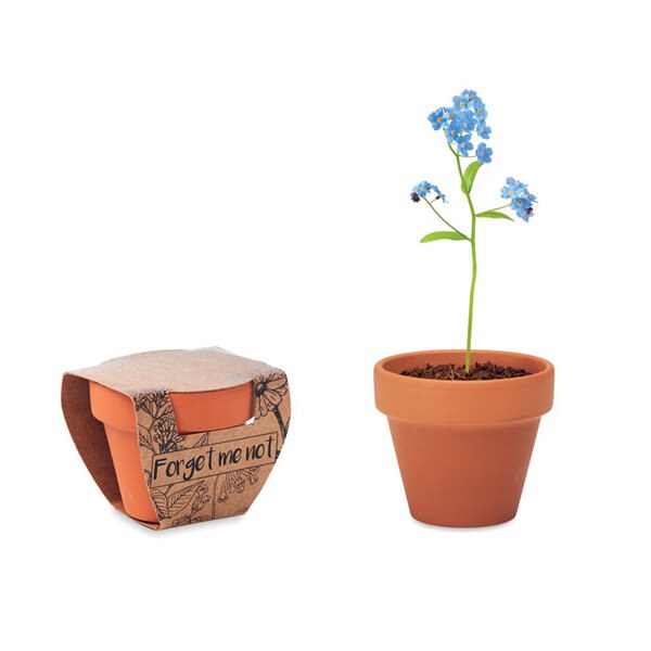 FORGET ME NOT Vaso terracota 'miosótis' - GiftRetail MO6146