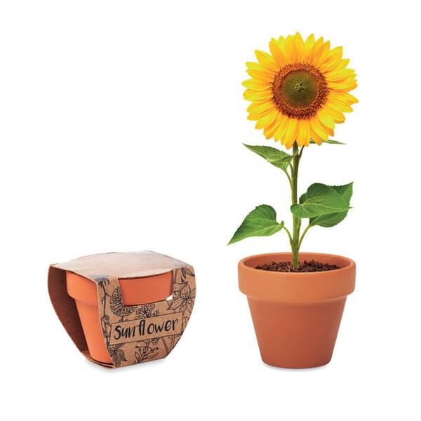 SUNFLOWER Vaso em terracota 'girassol' - GiftRetail MO6147