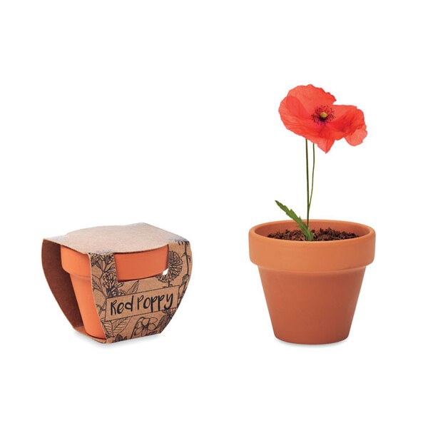 RED POPPY Vaso em terracota 'papoila' - GiftRetail MO6148