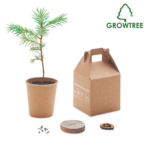 GROWTREE™ Set pinheiro - GiftRetail MO6228
