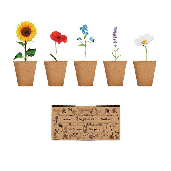 FLOWERS Kit de cultivo de flores - GiftRetail MO6500