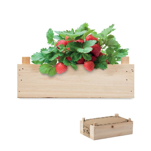 STRAWBERRY Kit  morangos caixa de madeira - GiftRetail MO6506