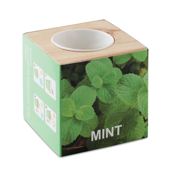 MENTA Porta sementes Menta - GiftRetail MO9337