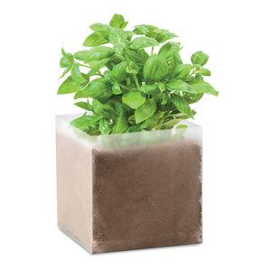BASIL Composto sementes "MANJERICÃO" - GiftRetail MO9545