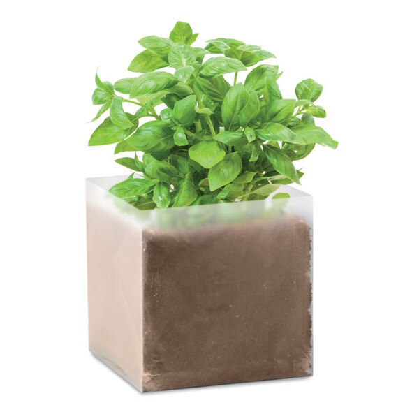 BASIL Composto sementes "MANJERICÃO" - GiftRetail MO9545