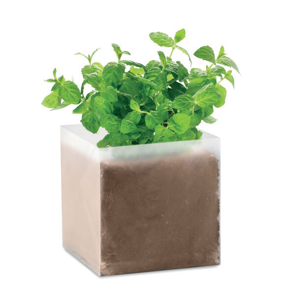 MINT Composto sementes Menta - GiftRetail MO9546