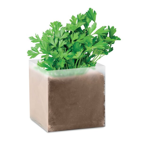PARSELY Composto sementes Salsa