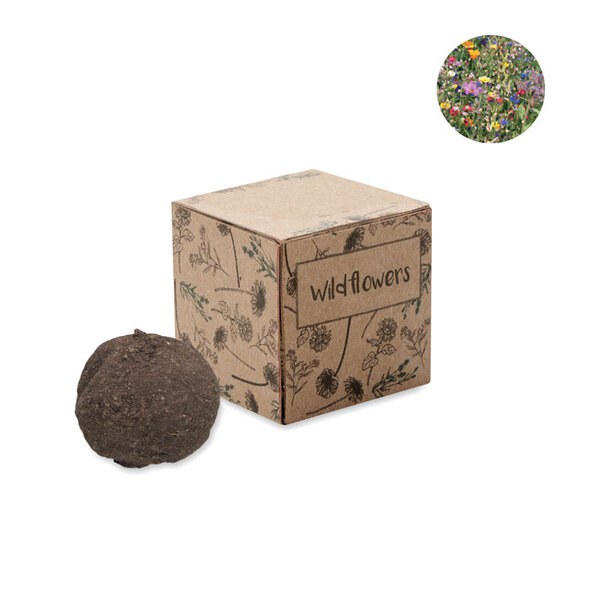 BOMBI Kit cultivo bombas de sementes - GiftRetail MO6908