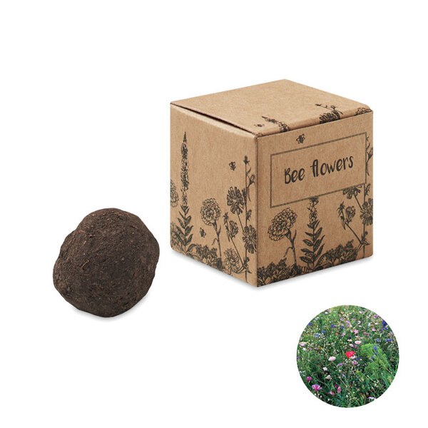 BOMBI II Eco-Friendly Bee Flower Seed Bomb Kit