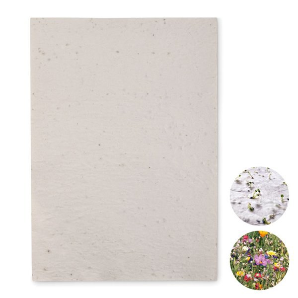 ASIDI Papel sementes de flores A4 - GiftRetail MO6914