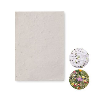 ASIDO Eco-Friendly A6 Wildflower Seed Paper Sheets - GiftRetail MO6916