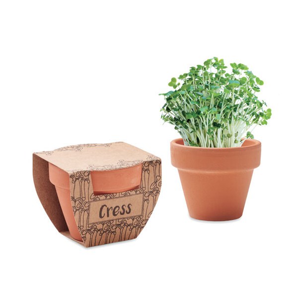 CRESS POT Sementes de agrião em vaso - GiftRetail MO2219