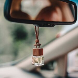 Goya 53031 - Ocean Scent Air Freshener, 10ml Glass