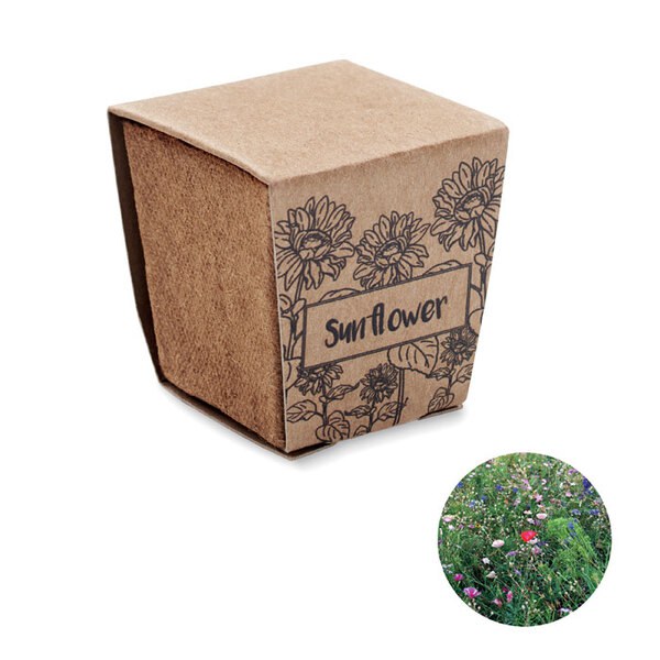 SUNFLOWER KIT Kit de cultivo de girassol