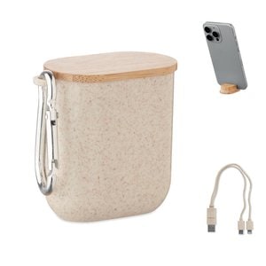 CABSTRA Cable set in case - GiftRetail MO2921